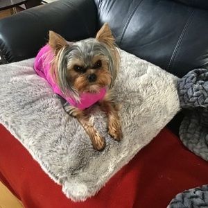 Meet your Posher, Frannie